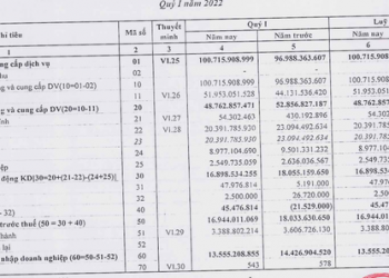 Đầu tư PT Hạ tầng IDICO (HTI) lãi 17 tỷ đồng trong quý 1, hoàn thành 25% kế hoạch năm - Ảnh 1.