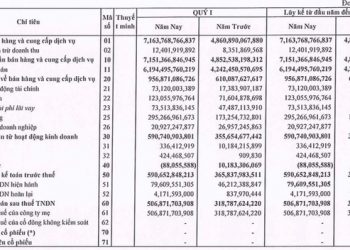 Thép Nam Kim (NKG): Đẩy mạnh các kênh bán hàng, quý 1 lãi 507 tỷ đồng tăng 59% so với cùng kỳ - Ảnh 1.
