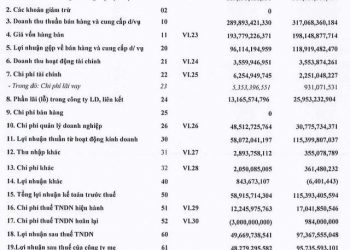 Dịch vụ khai thác cảng giảm, Cảng Sài Gòn (SGP) báo lãi quý 1/2022 giảm gần một nửa so với cùng kỳ năm ngoái - Ảnh 1.