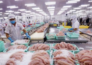 ViMoney: Xuất khẩu thủy sản tăng mạnh, doanh nghiệp thủy sản đặt mục tiêu lãi kỷ lục