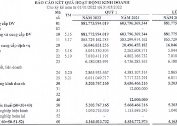 Doanh thu bán hàng tăng 46%, Dầu khí An Pha (ASP) vẫn ghi nhận lãi quý 1 đi lùi 8% so với cùng kỳ - Ảnh 1.