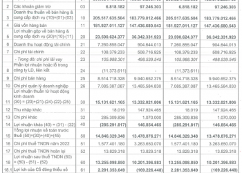 Doanh thu tài chính tăng mạnh, ELCOM (ELC) báo lãi sau thuế quý 1/2022 tăng 30% so với cùng kỳ năm trước - Ảnh 1.