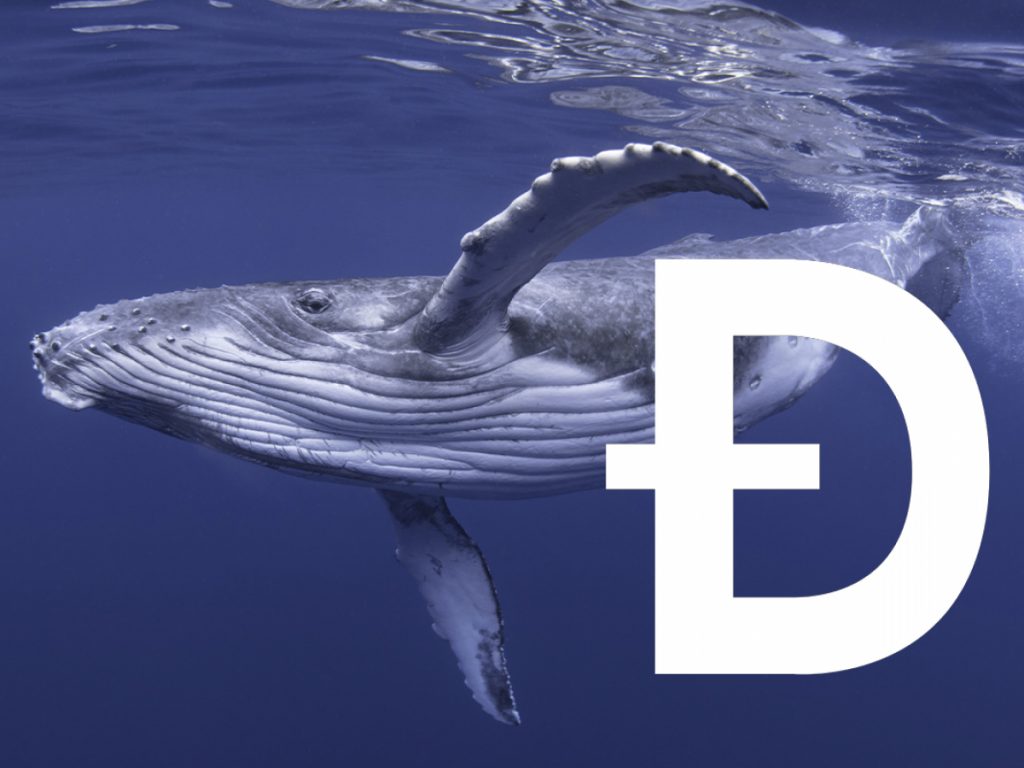 ViMoney: IntoTheBlock - Cá voi Dogecoin tăng giao dịch lên 126% khi DOGE bị chốt lời
