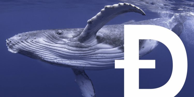 ViMoney: IntoTheBlock - Cá voi Dogecoin tăng giao dịch lên 126% khi DOGE bị chốt lời