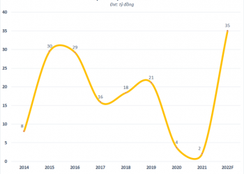 Dồn lực đầu tư bất động sản, DIN Capital (PDB) tham vọng đạt 300 tỷ lợi nhuận vào năm 2025 - Ảnh 1.