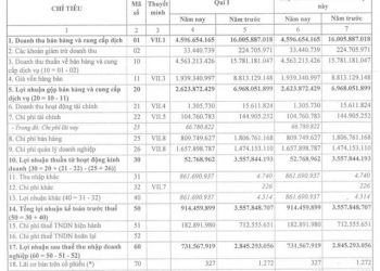 Nhựa Đà Nẵng (DPC): Dừng hoạt động để di dời, quý 1 lãi chưa tới 1 tỷ đồng, giảm 75% so với cùng kỳ - Ảnh 1.