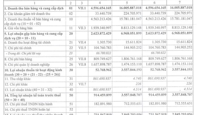 Nhựa Đà Nẵng (DPC): Dừng hoạt động để di dời, quý 1 lãi chưa tới 1 tỷ đồng, giảm 75% so với cùng kỳ - Ảnh 1.