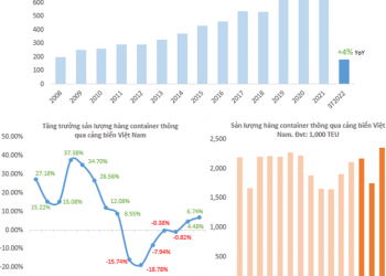 ViMoney: Triển vọng ngành cảng biển, canh mua GMD trong vùng giá 52.000-55.000 đồng/cổ phiếu