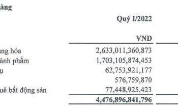 Gánh nặng chi phí, An Phát Holdings (APH) vẫn báo lãi ròng kỷ lục 83 tỷ đồng trong quý 1 - Ảnh 1.