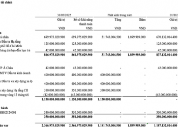Gánh nặng chi phí tài chính, Năm Bảy Bảy (NBB) báo lãi quý 1/2022 giảm 95% so với cùng kỳ, dòng tiền đầu tư âm gần 1.300 tỷ - Ảnh 1.
