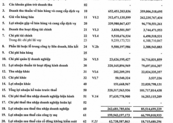 Giá cước vận tải và cho thuê tàu đắt đỏ, Hải An (HAH) báo lãi quý 1/2022 gấp 3 lần cùng kỳ năm trước - Ảnh 1.