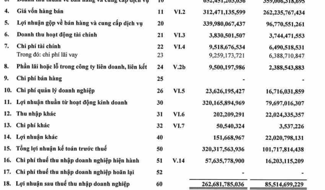 Giá cước vận tải và cho thuê tàu đắt đỏ, Hải An (HAH) báo lãi quý 1/2022 gấp 3 lần cùng kỳ năm trước - Ảnh 1.