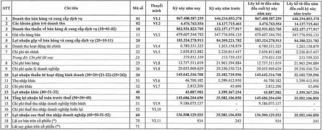 Giá phân bón tăng cao, DAP Vinachem (DDV) báo lãi quý 1 gấp 4 lần cùng kỳ, lên hơn 136 tỷ đồng - Ảnh 1.
