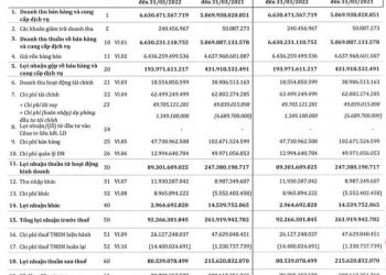 Thép SMC: Giá vốn tăng cao, lãi quý 1/2022 sụt giảm 63% so với cùng kỳ năm trước - Ảnh 1.