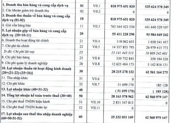 Giá vốn tăng mạnh, Gang thép Cao Bằng (CBI) báo lãi quý 1 sụt giảm gần 60% so với cùng kỳ - Ảnh 1.