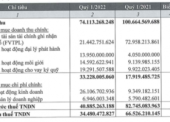 Giảm tỷ trọng tự doanh, Chứng khoán Thành Công (TCI) lãi sau thuế Quý 1 giảm 48% - Ảnh 1.