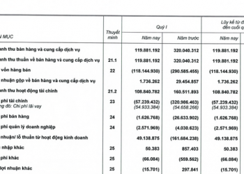 HAGL Agrico (HNG) quý I / 2022 lỗ ròng 113 tỷ đồng, tổng lỗ lũy kế là 3.539 tỷ đồng - Ảnh 1.