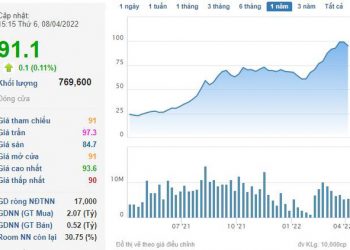 ViMoney: Hải An (HAH) chốt quyền trả cổ tức năm 2021 với tổng tỷ lệ 50%