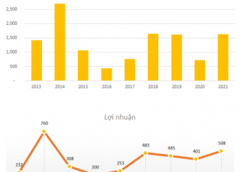 Hòa Phát dự kiến đạt 1.600 tỷ đồng doanh thu từ bất động sản vào năm 2022 - Ảnh 1.