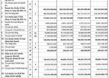 Hóa chất Cơ bản miền Nam (CSV) báo lãi quý 1/2022 cao gấp 3 lần cùng kỳ nhờ sản lượng và giá bán tăng mạnh, hoàn thành 56% kế hoạch năm - Ảnh 1.