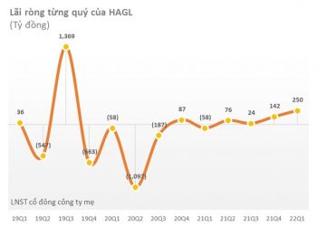 Hoàng Anh Gia Lai (HAG) đạt doanh thu 800 tỷ đồng, lãi sau thuế 258 tỷ đồng trong quý 1/2022 - Ảnh 1.