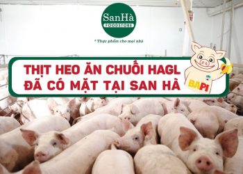 Bầu Đức: Hoàng Anh Gia Lai có trồng rừng, sầu riêng… nhưng tôi chỉ tính đến cái gì đã thu hoạch được, không người ta bảo tôi nói phét! - Ảnh 1.