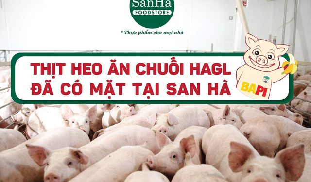 Bầu Đức: Hoàng Anh Gia Lai có trồng rừng, sầu riêng… nhưng tôi chỉ tính đến cái gì đã thu hoạch được, không người ta bảo tôi nói phét! - Ảnh 1.