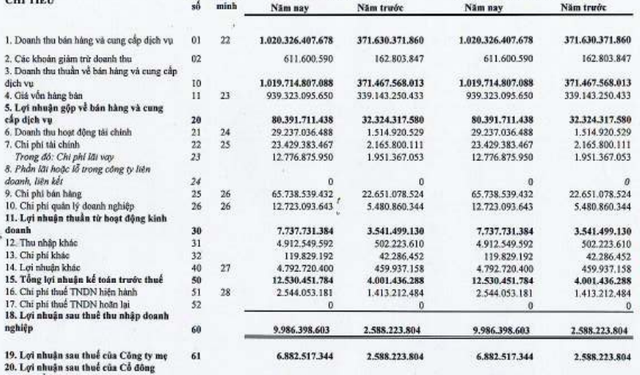 Hoạt động tài chính tăng mạnh, Angimex (AGM) báo lãi hợp nhất Quý 1/2022 gấp gần 4 lần cùng kỳ - Ảnh 1.