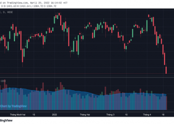 Hơn 830 mã chìm trong sắc đỏ, đâu là tác nhân chính khiến VN-Index giảm sâu nhất trong phiên 20/4? - Ảnh 1.