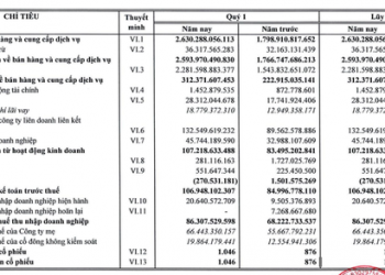 Hưởng lợi từ giá phân bón tăng cao, Phân bón Bình Điền (BFC) hoàn thành 53% chỉ tiêu cả năm chỉ sau 1 quý - Ảnh 1.