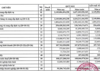 Công ty mẹ MPC: Hụt nguồn cổ tức, quý 1 lãi giảm 7% so với cùng kỳ 2021 - Ảnh 1.
