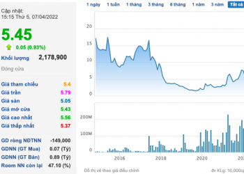 FLC Stone (AMD): Kế hoạch lợi nhuận tăng 29% lên 20 tỷ đồng, không chia cổ tức 2021 và 2022 - Ảnh 1.
