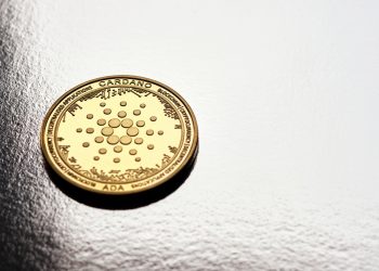 Khả năng sinh lời của Cardano vẫn ở mức cực kỳ thấp, nhưng cá voi vẫn đang tích cực tích lũy tài sản