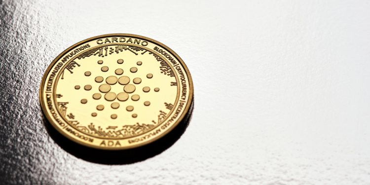Khả năng sinh lời của Cardano vẫn ở mức cực kỳ thấp, nhưng cá voi vẫn đang tích cực tích lũy tài sản