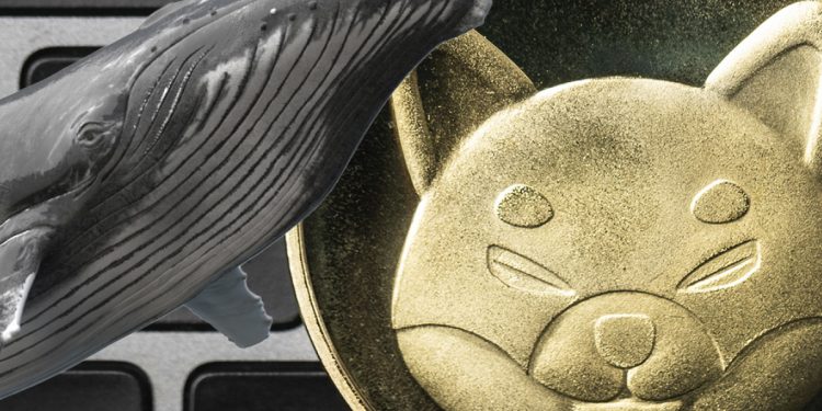 Khi Shiba Inu tăng 20%, Whale mua 775 tỷ token