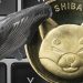Khi Shiba Inu tăng 20%, Whale mua 775 tỷ token