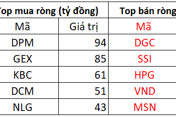 Khối ngoại mua ròng 274 tỷ đồng trong phiên thị trường “bốc hơi” 26 điểm, tập trung mua DPM, GEX - Ảnh 1.