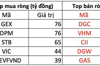 Phiên 20/4: Khối ngoại mua ròng 444 tỷ đồng trong ngày thị trường giảm sâu, tâm điểm gom GEX, DPM - Ảnh 1.