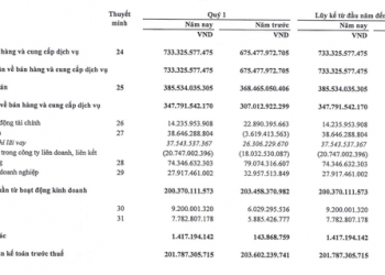 Không còn hoàn nhập dự phòng tài chính, Biwase (BWE) báo lãi quý 1/2022 tăng nhẹ so với cùng kỳ năm trước - Ảnh 1.