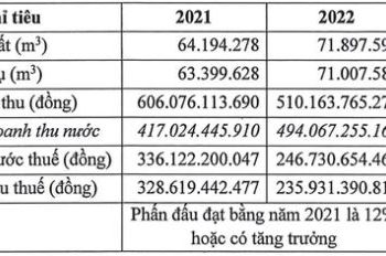 Không còn khoản cổ tức từ Biwase, Nước Thủ Dầu Một (TDM) báo lãi quý 1/2022 giảm 65% - Ảnh 1.