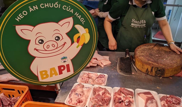 ViMoney: "Kinh doanh ai cũng có thể ngã ngựa, nhưng tôi sẽ không để HAGL ngã ngựa lần nữa!"