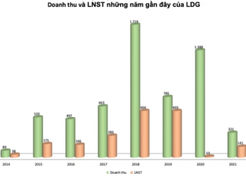 LDG đặt mục tiêu lãi sau thuế 310 tỷ đồng năm 2022, trình phương án phát hành riêng lẻ 120 triệu cổ phiếu - Ảnh 1.