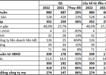 Lãi đột biến từ liên doanh liên kết, lợi nhuận quý 1/2022 của Gemadept (GMD) tăng 85% so với cùng kỳ - Ảnh 1.