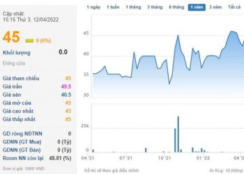 Lãi lớn, Cơ khí và Khoáng sản Hà Giang (HGM) chốt quyền trả cổ tức đợt 2/2021 tỷ lệ 30% - Ảnh 1.