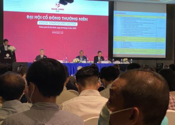 Lãi quý 1/2022 giảm mạnh do chưa kịp ghi nhận dự án, các ngân hàng sẵn sàng hỗ trợ vốn cho khách mua nhà Công ty