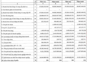 Lideco (NTL) báo lãi quý 1/2022 tăng trưởng 171% so với cùng kỳ - Ảnh 1.