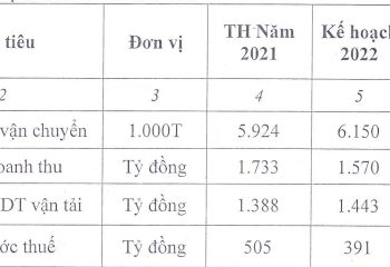 Lo ngại giá dầu leo thang, VOS đặt kế hoạch đi lùi trong năm 2022 - Ảnh 1.