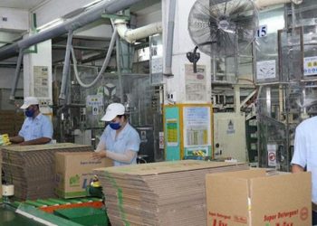 ViMoney: Lợi nhuận năm 2021 giảm mạnh, Bột giặt LIX vẫn duy trì cổ tức ở mức cao 30%