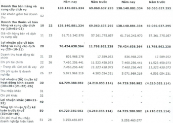 Lưu lượng nước về hồ lớn, Thuỷ điện Miền Nam (SHP) báo lãi 61 tỷ đồng quý 1, hoàn thành 25% kế hoạch năm - Ảnh 1.