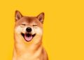 Mã thông báo Shiba Inu trở thành một trong những mã thông báo được mua nhiều nhất trong 24 giờ qua